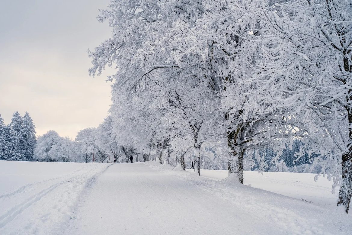Spacery w śnieżnym krajobrazie zwiększają zadowolenie z własnego ciała